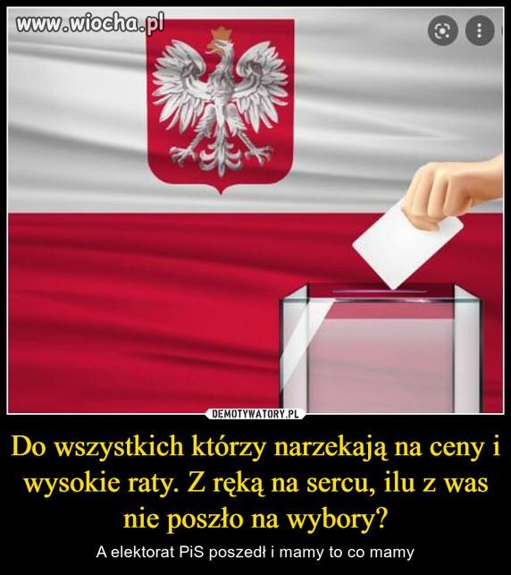 Wybory