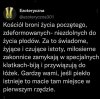 Podzielam opinię!
