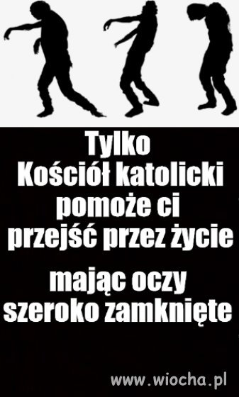 Pielgrzymka przez życie