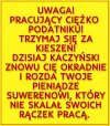 Opis sie schował