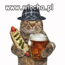 Drugi dzień po wypłacie; opłaciłem czynsz, prąd, 