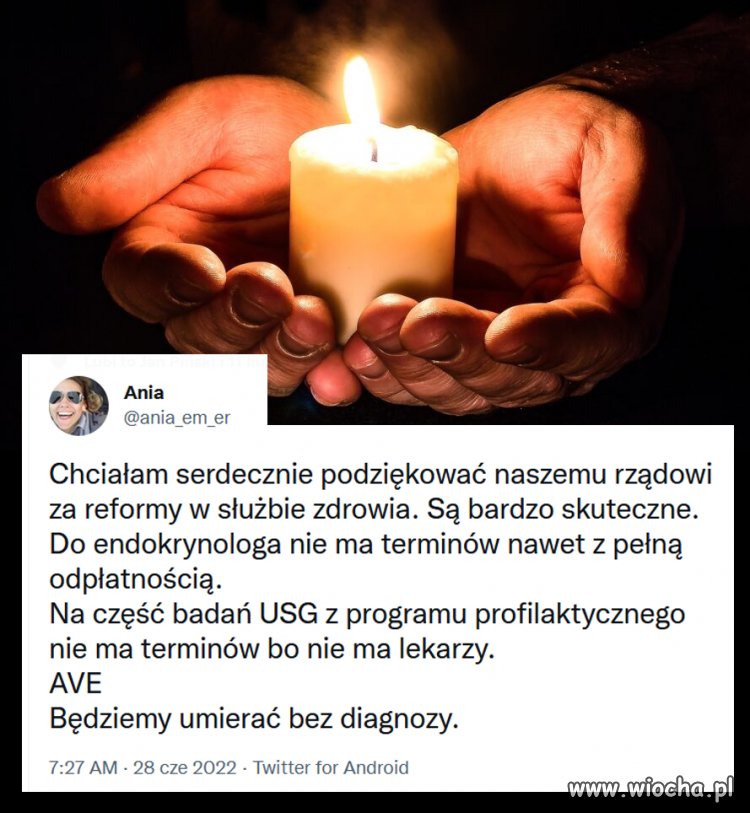 Brawo PiS. Tylko PiS