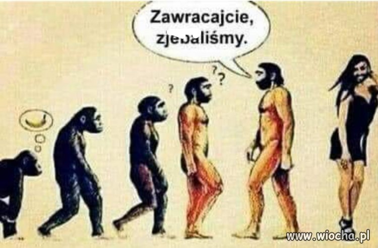Chyba coś poszło nie tak