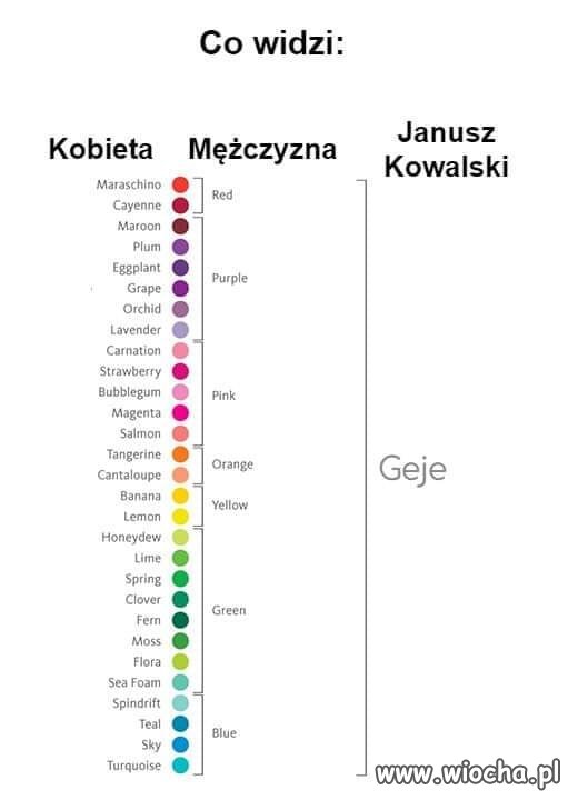 Co widzi 