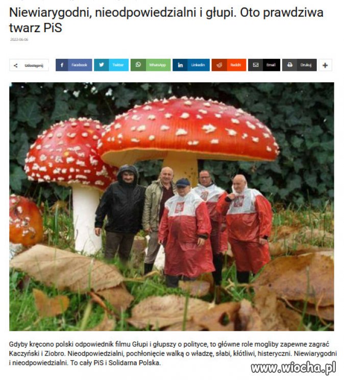 Glupi, glupszy i najglupszy, wszyscy zebrali sie w PiS!