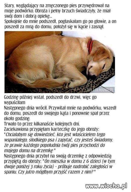 Spokoju mi trzeba 
