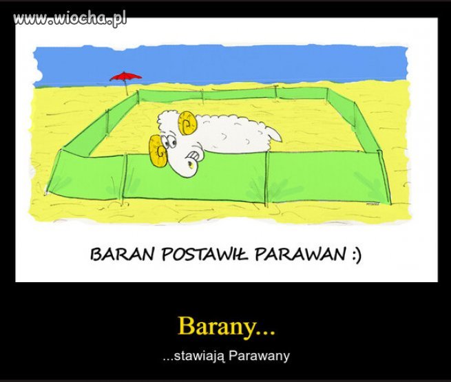 Sezon "Baranowy" nad Baltykiem, oglaszam rozpoczety...