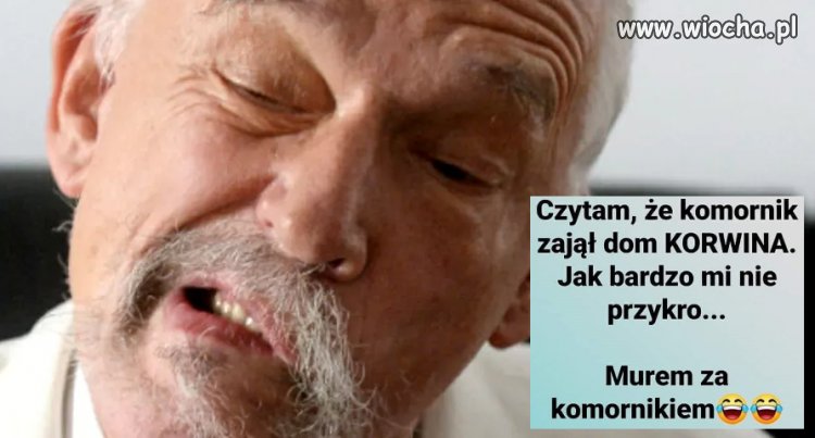 Murem za komornikiem 