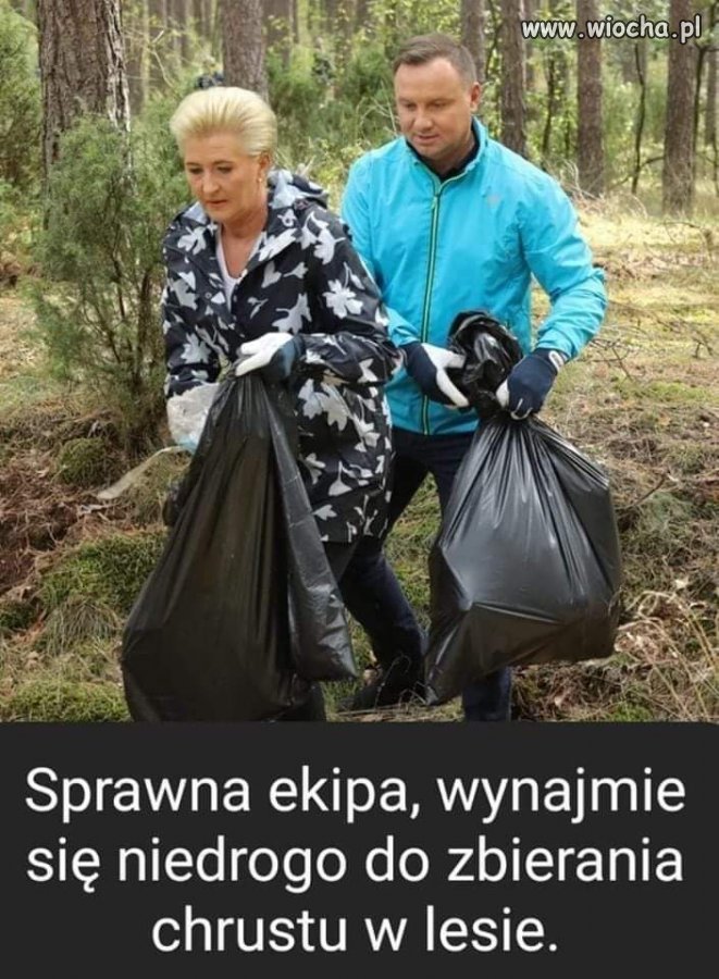 ☆☆☆☆☆ ☆☆☆