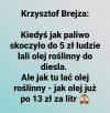 Bez tytułu 