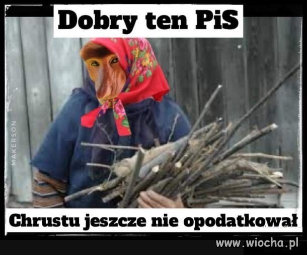 Dobry ten pis