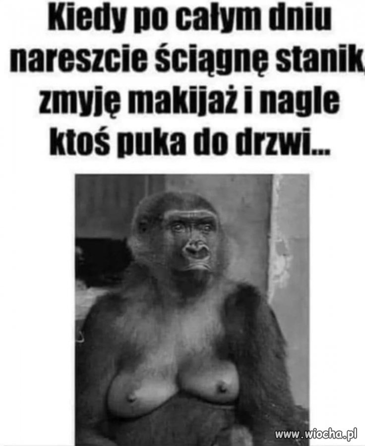Śmiec*ujki