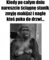 Śmiec*ujki
