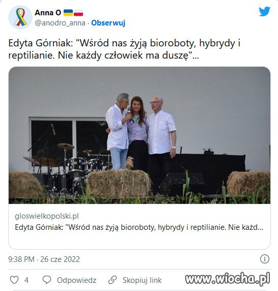 Górniak na Zlocie Wolnych Od Myślenia Ludzi ...