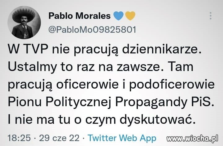 Wojsko polityczne