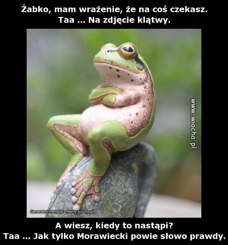 Żabko, mam wrażenie, że na coś czekasz.