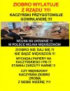 Gdzie dwoch sie bije, tam Polacy zyskaja?