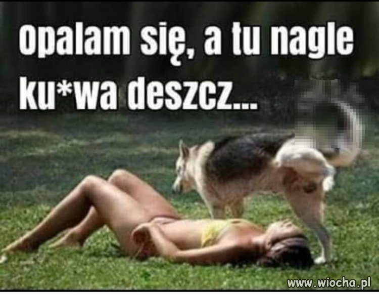 Samo życie 