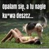 Samo życie 