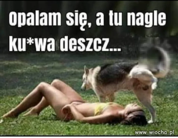 Samo życie 