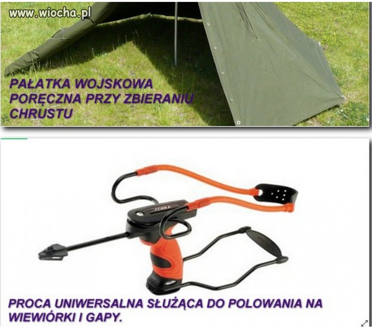 Niezbędnik Polaka