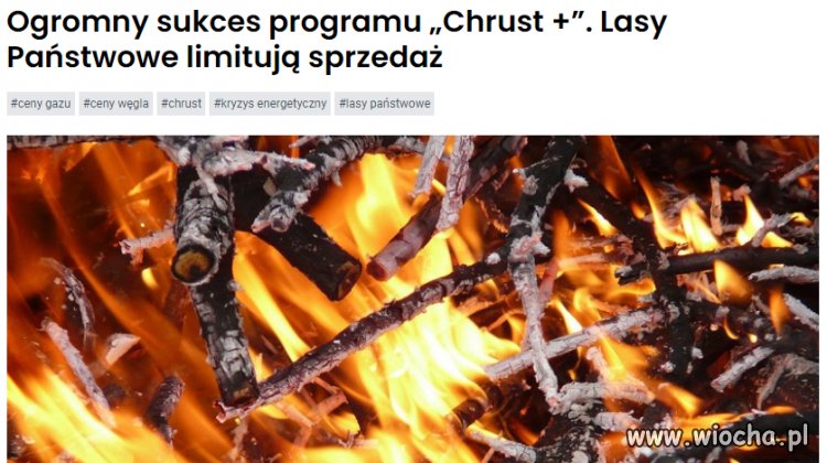Bieda +. jedyny program który pisowi się udał