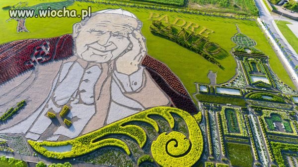 Największy na świecie kwitnący obraz papieża 