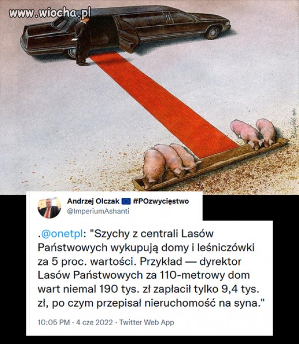 Rozkradają wszystko. Wszystko