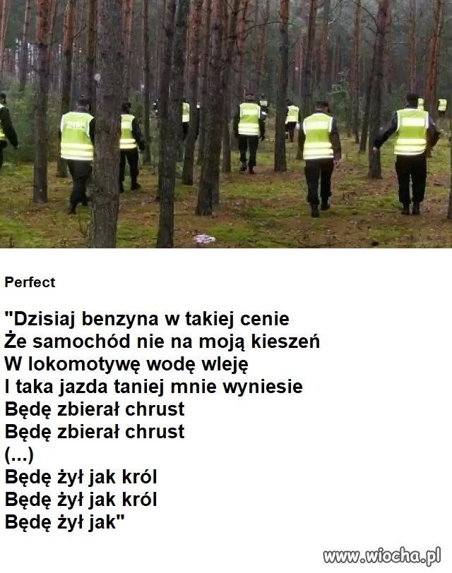 PIS każe zbierać chrust na opał na zimę