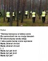 PIS każe zbierać chrust na opał na zimę