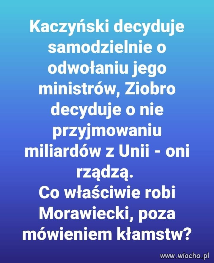 Pytanie dnia