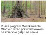 Rewolucja w mieszkalnictwie