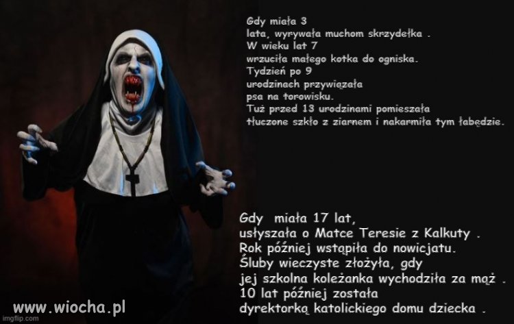 Chyba tak wyglądała życiowa droga