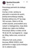 Ogłoszenie matrymonialne 