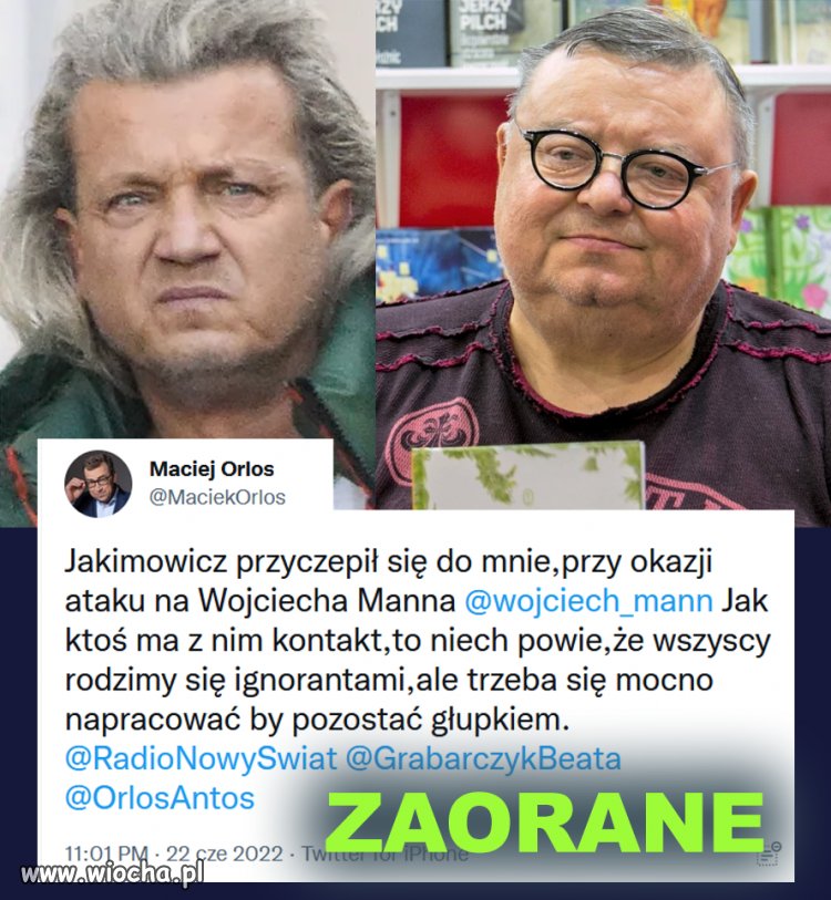 Chociaż tak się dobrze zapowiadał, to z młodego wilka stał się wyliniałą mieszanką szakala z hieną!