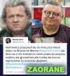 Chociaż tak się dobrze zapowiadał, to z młodego wilka stał się wyliniałą mieszanką szakala z hieną!