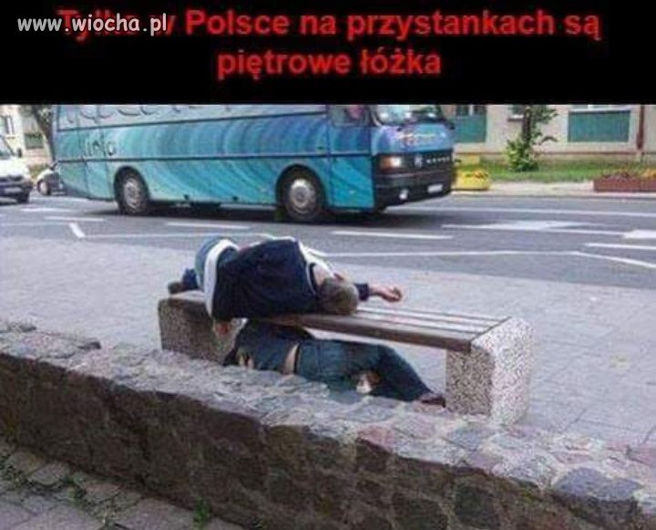 Pijusy się bawią 