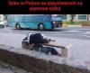 Pijusy się bawią 