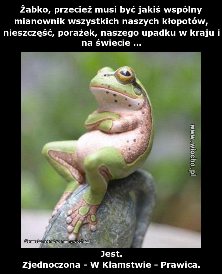 Żabko, przecież musi być jakiś wspólny mianownik