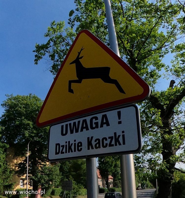 Nowe znaki na Żoliborzu