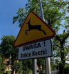 Nowe znaki na Żoliborzu