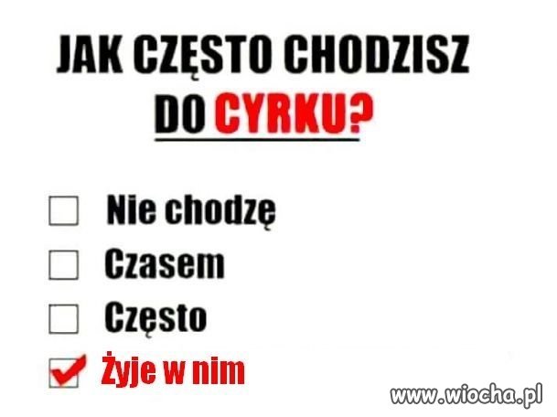 Jak często ?