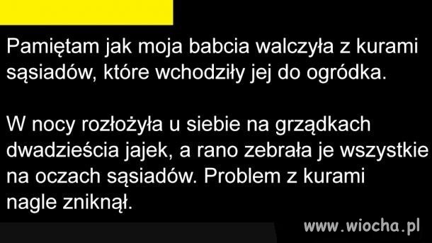 Dobre bo polskie