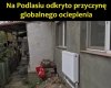 Takie są fakty