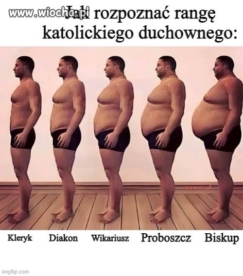 Poradnik, który może