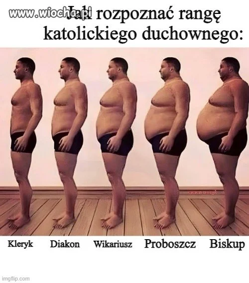 Poradnik, który może