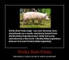 Wielka biała Polska