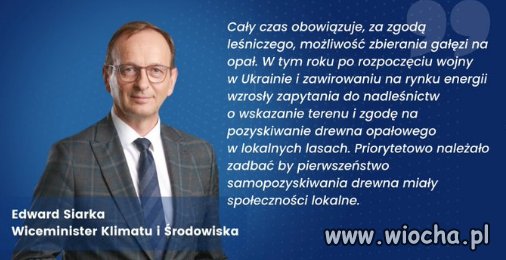 Węgiel za drogi? idź do lasu nazbierać chrustu