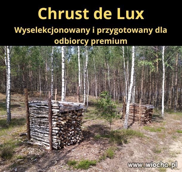 Chrust de Lux