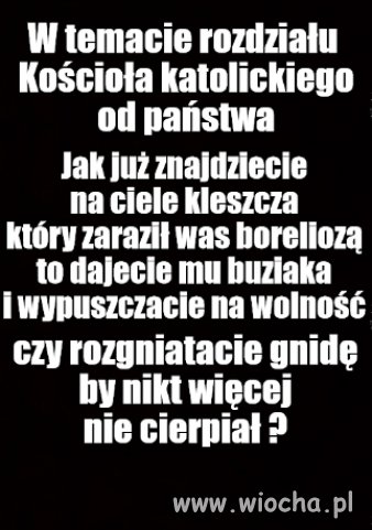 Kolega pytał